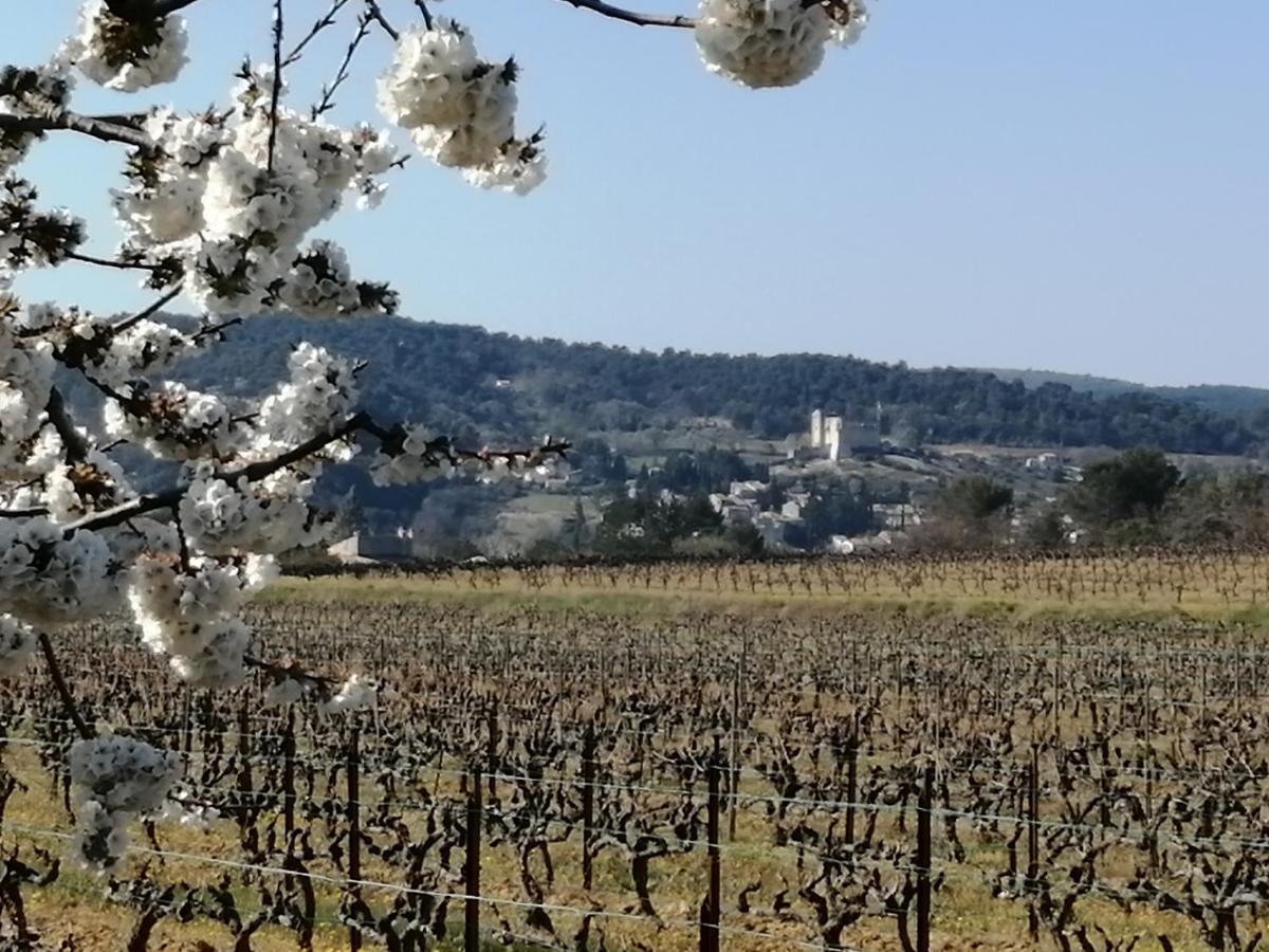 AU VILLADIOR - Vaison la Romaine Exterior foto